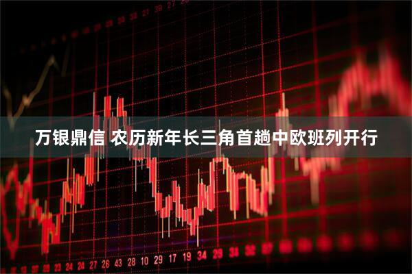 万银鼎信 农历新年长三角首趟中欧班列开行