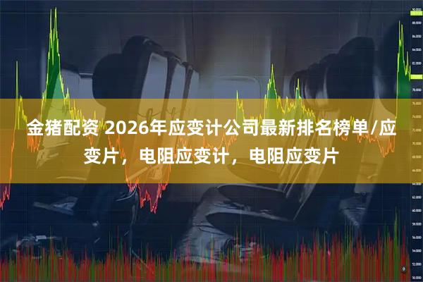 金猪配资 2026年应变计公司最新排名榜单/应变片，电阻应变计，电阻应变片