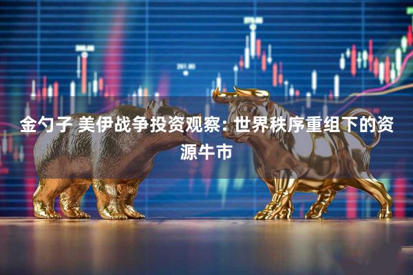 金勺子 美伊战争投资观察: 世界秩序重组下的资源牛市