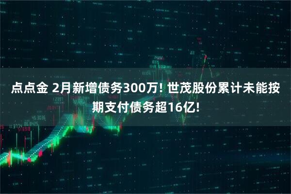 点点金 2月新增债务300万! 世茂股份累计未能按期支付债务超16亿!