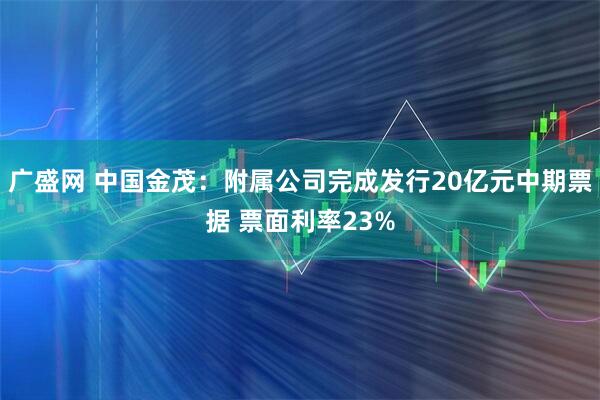广盛网 中国金茂：附属公司完成发行20亿元中期票据 票面利率23%