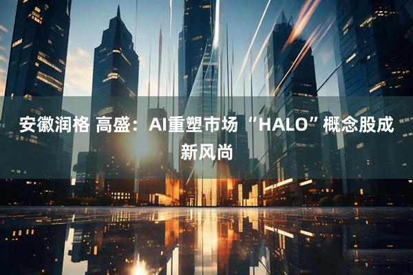 安徽润格 高盛：AI重塑市场 “HALO”概念股成新风尚